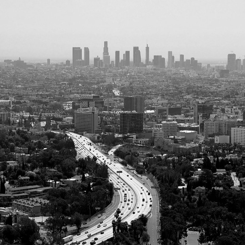 Los Angeles City shot